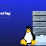 5 Reasons Why Developers Love Linux VPS Hosting