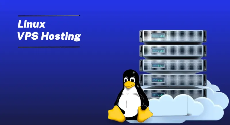 5 Reasons Why Developers Love Linux VPS Hosting